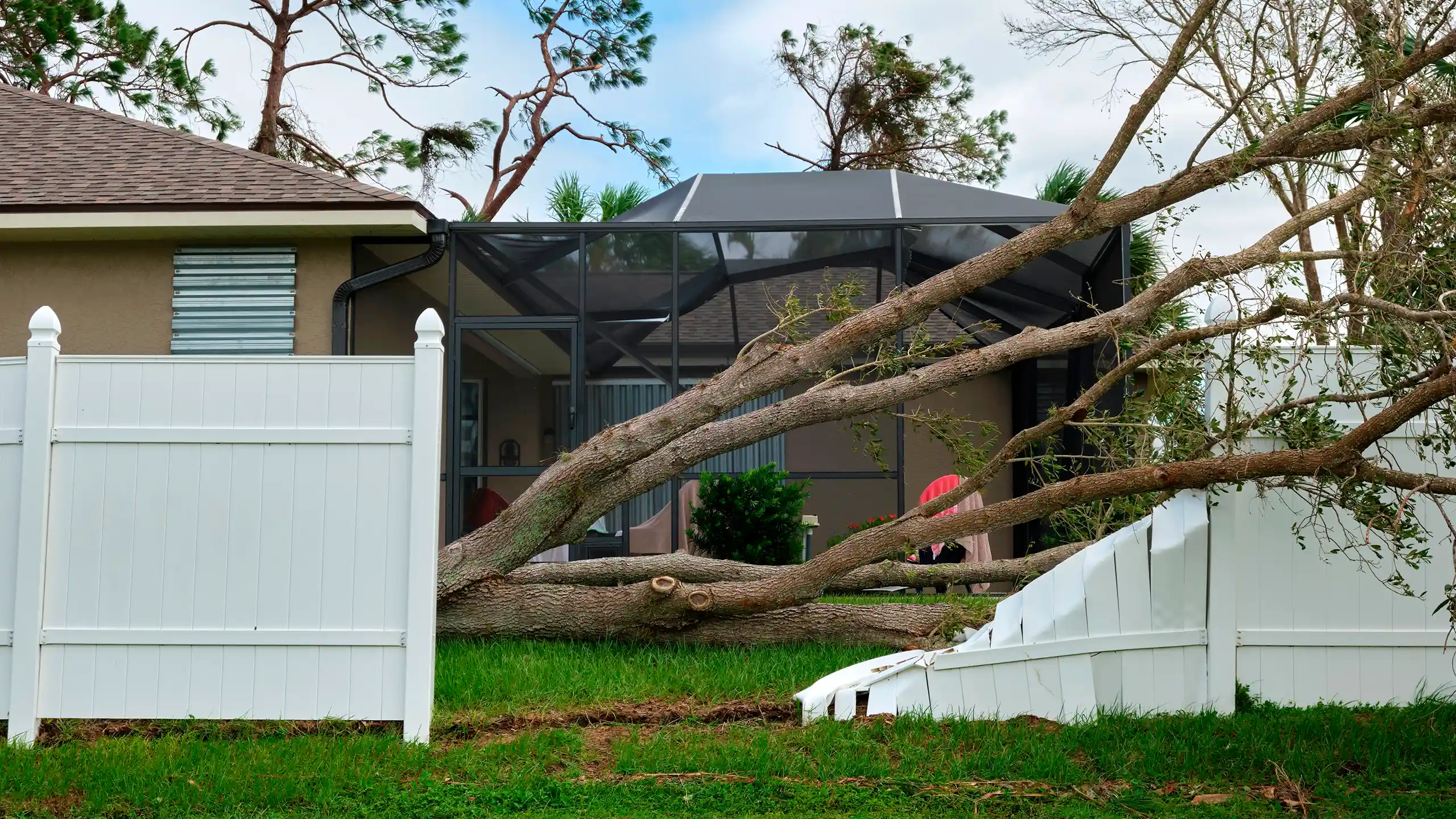 Emergency Tree Service
