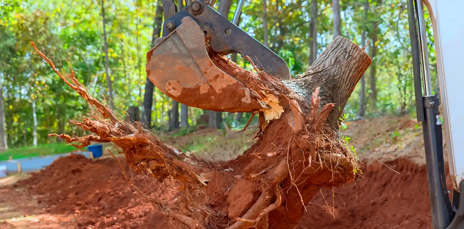 Stump Removal 2